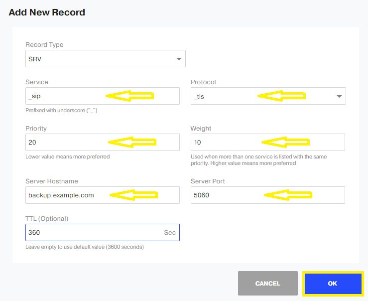 SRV DNS record